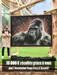 Plus de 15 000 euros récoltés grâce à vous !