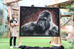 "Gincko" Édition Prestige sur Plexiglas