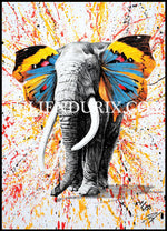 "Wild colors" #3 - limitée à 150 exemplaires